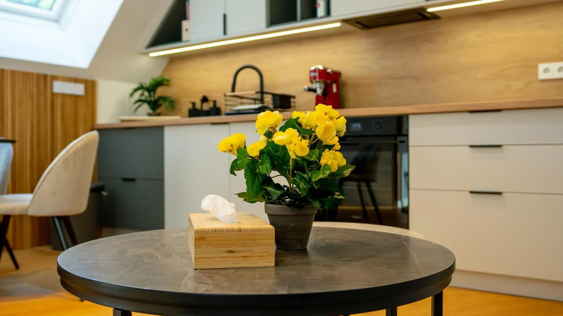 דירות וינה Luxury Penthouse with Terrace אוסטריה